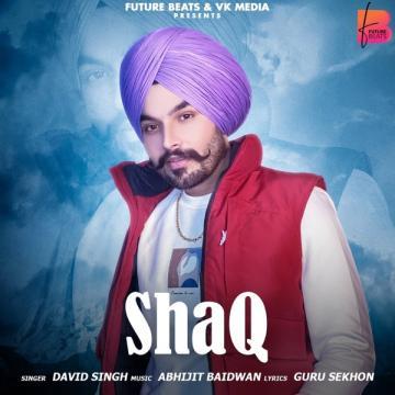 download Shaq-- David Singh mp3